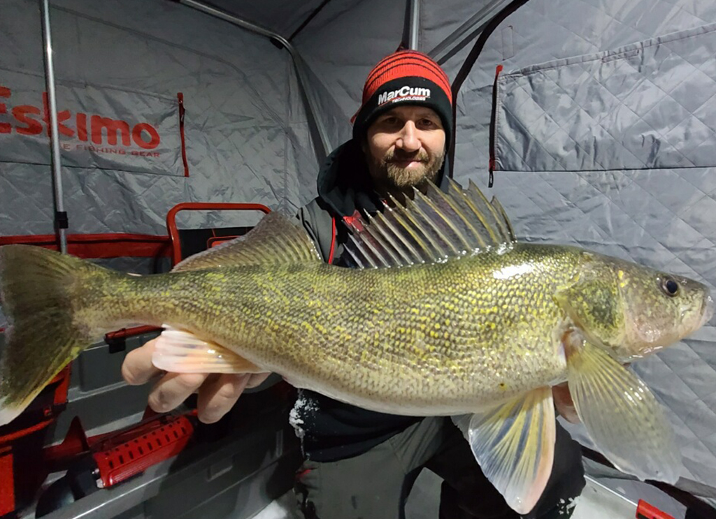 Deadsticking for walleyes while ice fishing is very effective if done right!