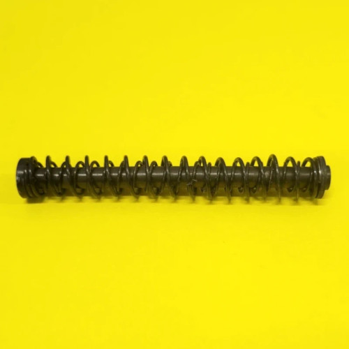 SCCY CPX-1 recoil assembly