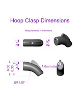 5220  Hoop Clasp