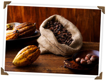 cacao beans.jpg