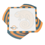 A 100x100mm twist note pad featuring a chameleon design, with blue, orange, and white colours, includes branding.