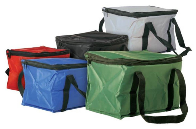 Cooler bag 12 can