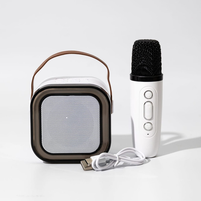 A white portable karaoke machine with a speaker, connected microphone, and USB cable, featuring a brown handle.