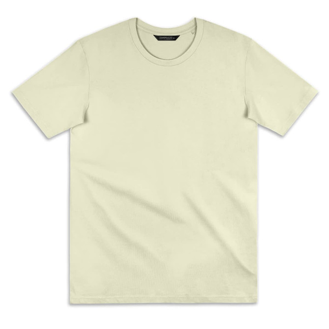 A light green T-shirt with short sleeves, featuring a crew neckline and a logo tag.