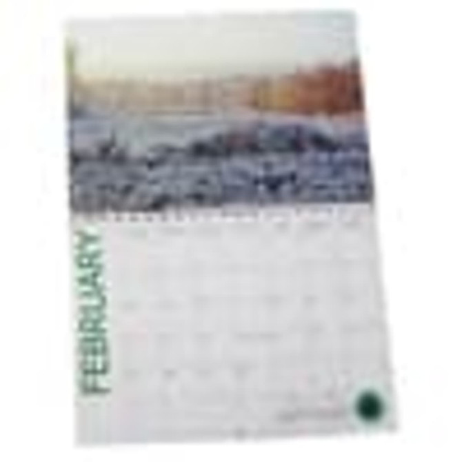 A4 wiro bound wall calendar featuring a scenic landscape for February, with a white background and green accents.