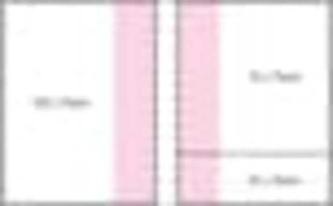 A blank A4 sheet layout with sections, featuring a combination of pink and white sections. It has a logo.
