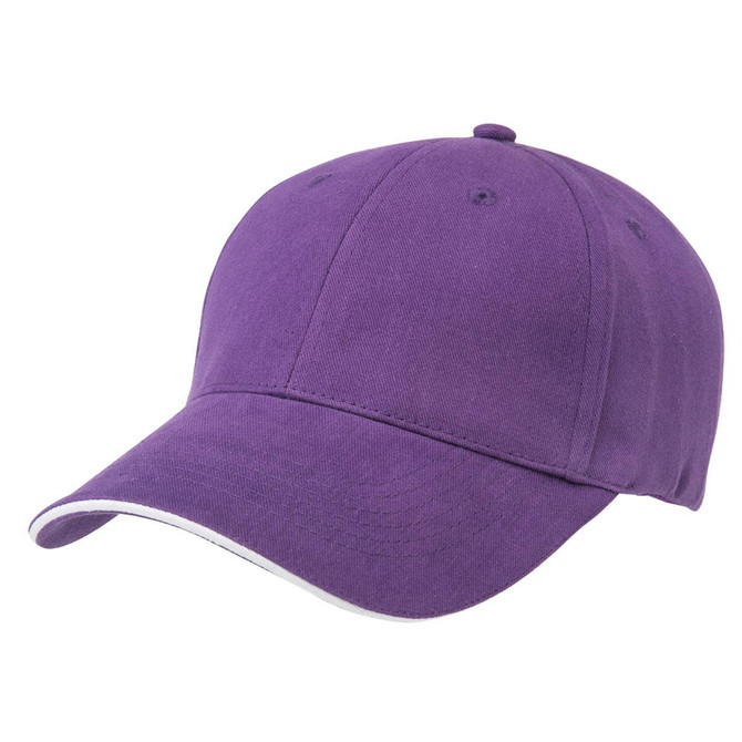 A purple cap with a curved brim and a logo on the front. It features a classic design.