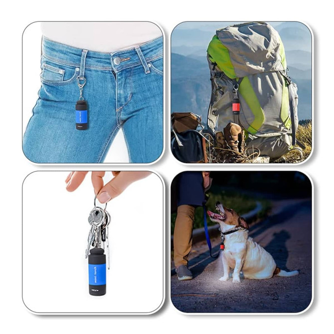 A compact blue and black rechargeable LED torch attached to a keyring, backpack, and near a dog at night.