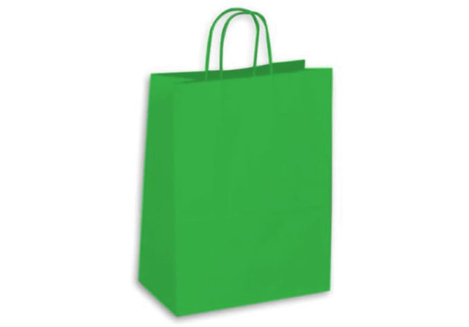 A large green kraft paper bag with two handles and no visible branding.