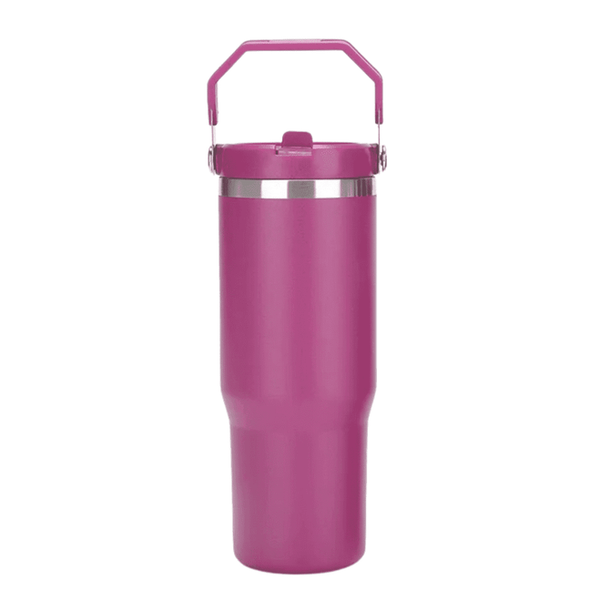 A drink bottle in a vibrant pink colour with a silver band and a handle for easy carrying. It features a logo.