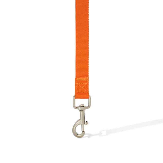 An orange dog lead with a silver metal clip, featuring a durable nylon strap.