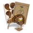 A kiwi wooden model in brown, accompanied by illustrated sheets and a branding logo.