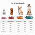 A pet feeding bowl display featuring various sizes and colours, with bowls made of stainless steel and plastic.