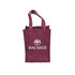 A drink bottle bag in burgundy with two handles and a logo. Suitable for carrying two bottles.