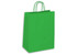 A large green kraft paper bag with two handles and no visible branding.