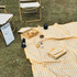 A yellow gingham picnic blanket spread on grass, surrounded by picnic items, a chair, and a framed artwork.