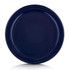 A navy blue Frisbee with a smooth circular surface and a raised rim, featuring a logo in the centre.