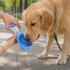 A drink bottle with a blue base and transparent container, designed for pets, featuring a food container.