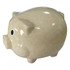 A wheat straw piggy bank in a light beige colour with glossy finish and large eyes, featuring a branding logo.