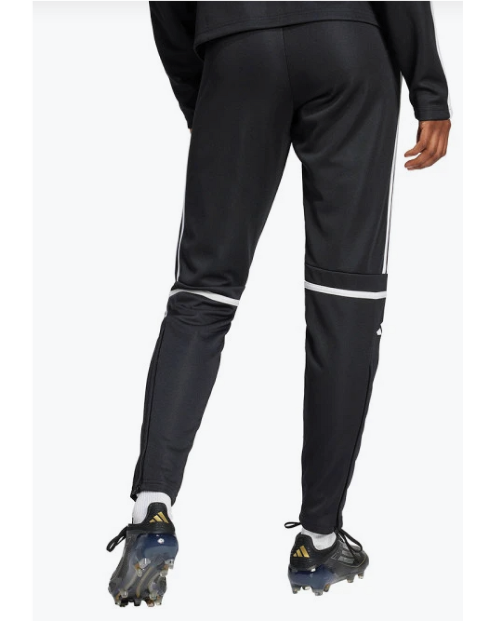 Whatcom County Select - adidas Squadra 25 Training Pants - Soccer City