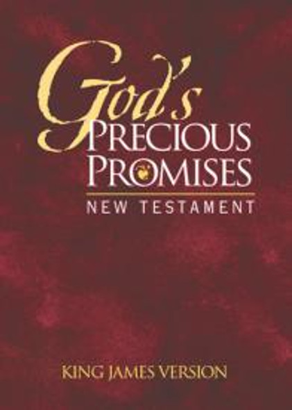 B-God'S Precious Promises Nt