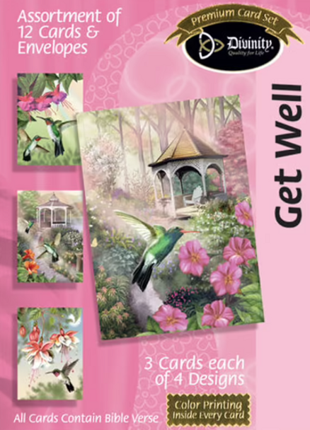 Get Well: Hummingbirds (Boxed Cards) 12-Pack