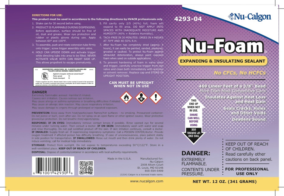 Spray Foam Insulation Sealant NuFoam 12 oz Disposeable Can