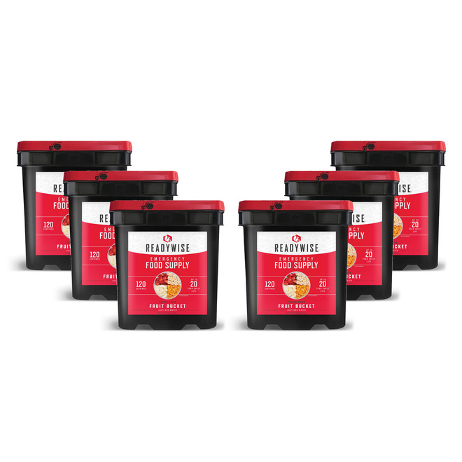 Six ReadyWise freeze dried fruit buckets, 720 serving emergency fruit supply
