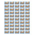50 pack of Cleanwaste original WAG bag toilet kits arranged in rows