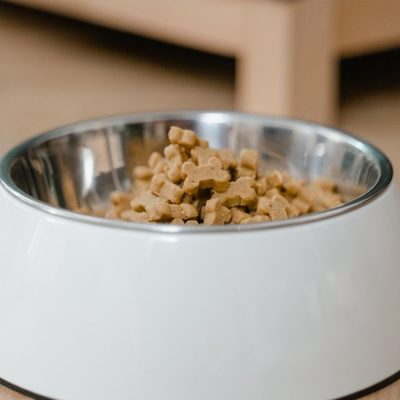 Pet Food & Supplies