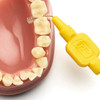 TePe Regular 0.7 mm Yellow Interdental Brushes used on model