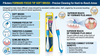 Piksters Forward Focus Tip Soft Brush - infographic of the brush's features