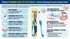 Piksters Forward Focus Tip Soft Brush - infographic of the brush's features