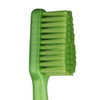 Tepe GOOD™ Soft Regular Head Eco Toothbrush zoomed view of toothbrush head