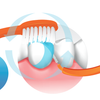 Edel+White Easy Flex Profi-Line Interdental brushes - interdental brushing and toothbrushing.