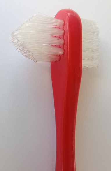 Lactona Denture Brush #500 detailed view of denture brush head and bristles