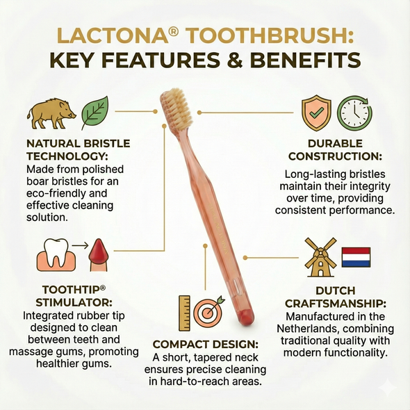 Lactona 18 Natural Medium 3-Row Toothbrush infographic of toothbrush features
