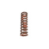 15918 - Eaton Spring