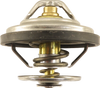 3006444C3 - THERMOSTAT ISB 6.7L and MaxxForce 11 & 13, Inter N13