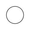 A0179978945 - FUEL PUMP O-RING DD13 DD15