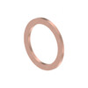 N000000001072 - SEAL RING
