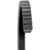 17335 - BELT