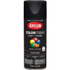 5546 - PAINT - COLORMAXX™ FLAT BLACK - 12 OZ.