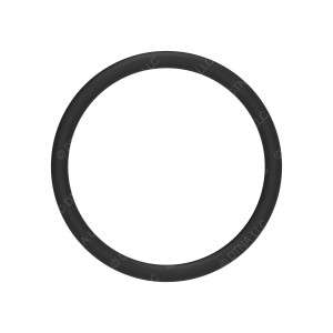 A0289972348 - O-RING - COUNTERSHAFT BRAKE COVER (LG)
