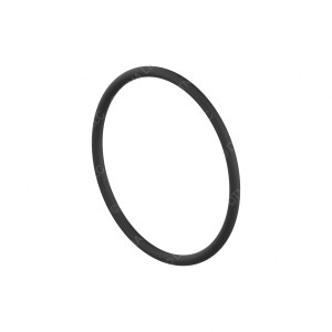 A4729970145 - O - RING, TOROIDAL SEALING DD13 EPA10/GHG14