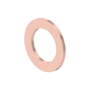 N000000001067 - SEAL RING