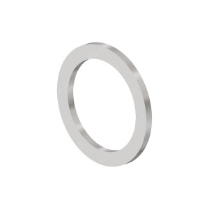 N000000001071 - SEAL RING