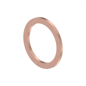 N000000001072 - SEAL RING