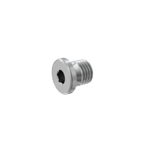 N000912008010 - SCREW