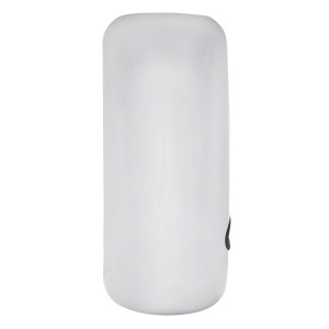 21746B - MIRROR COVER CR T660 RH